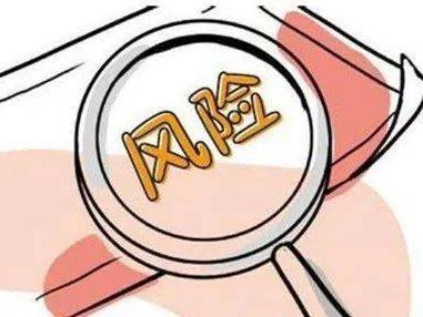 智能護(hù)航，科技風(fēng)險(xiǎn)管理咨詢，企業(yè)安全的智慧守護(hù)者