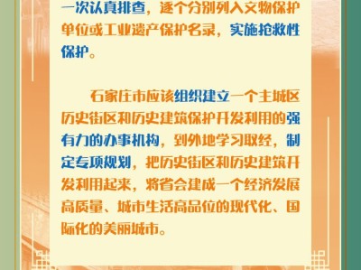 河北鑒悅科技，歷史風(fēng)險(xiǎn)與未來展望