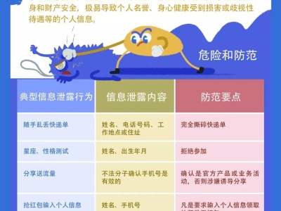 網(wǎng)絡(luò)安全攻略，應(yīng)對科技風(fēng)險與下載