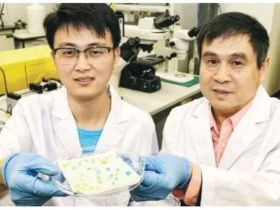 光迅科技，我國(guó)量子科技領(lǐng)域的璀璨明星揭秘