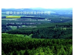 農(nóng)信社科技賦能下的風(fēng)險(xiǎn)管理策略探析