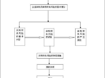 并購金融科技企業(yè)的風(fēng)險(xiǎn)解析與應(yīng)對(duì)策略