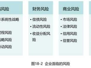 科技企業(yè)風險管理，與有效應對之道
