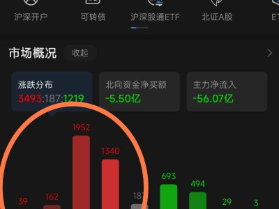 安陸科技申購攻略，風險預警，理性投資之道